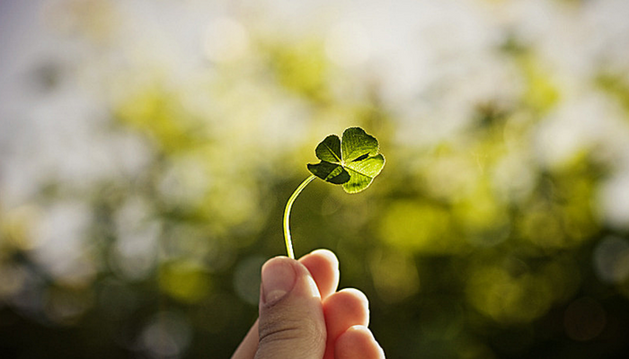 Bagaimana cara mendapatkan uang di Olymp Trade secara efisien?